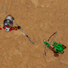 Medieval Rampage