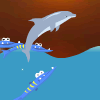 Dolphin Olympics 2