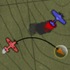 SteamBirds