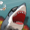 Sydney Shark